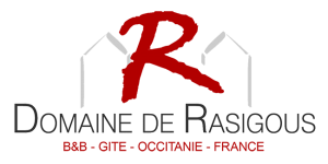 logo_Domaine_De_Rasigous