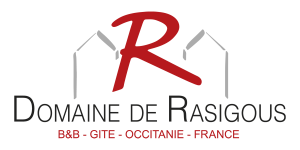 Logo Domaine de Rasigous